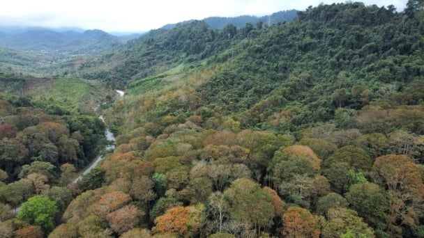 ERPA policy fosters upland communities, enhances forest value